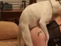 Cute woman with a tattooed booty adores getting screwed by her dog